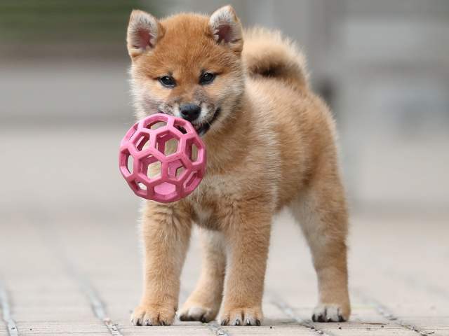 AI5I7749-3400 AI5I7749-3400