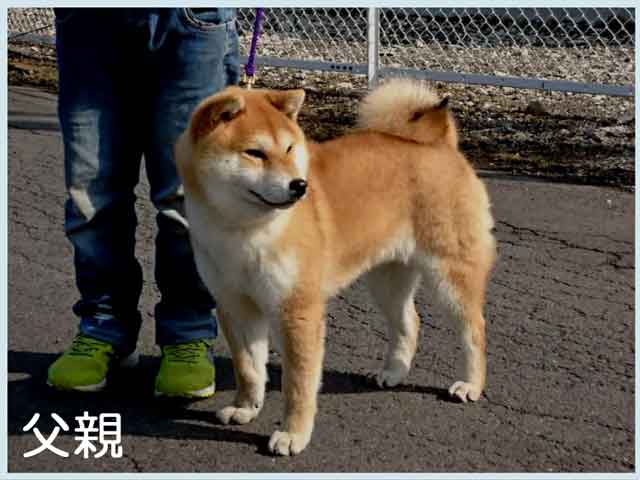 那須ノ北斗号 那須ノ北斗号