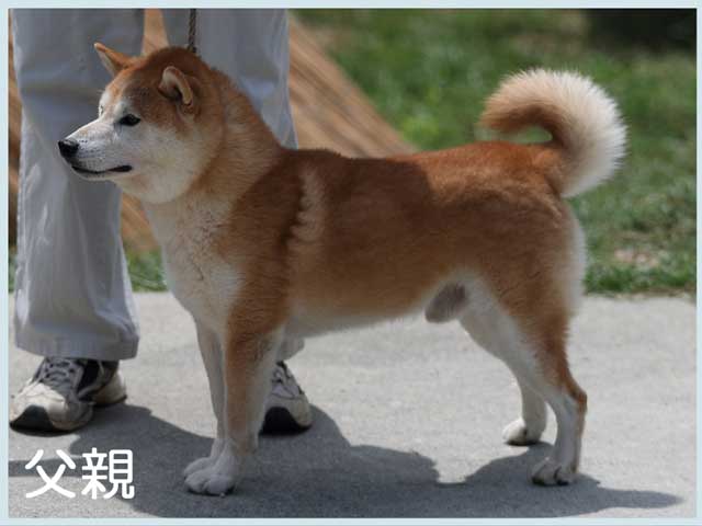 雄太号 雄太号