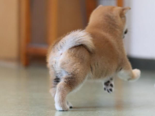 AI5I2662-3435 AI5I2662-3435