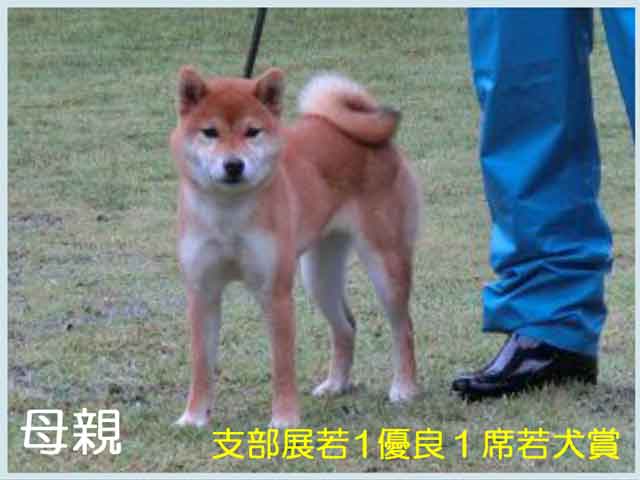 豊後亜希女号 豊後亜希女号
