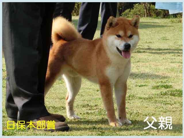 豊後寿王丸号 豊後寿王丸号