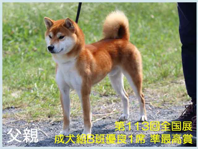 太刀王丸号 太刀王丸号
