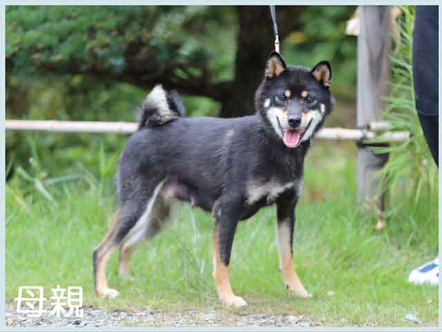 2019.8.9haha 2019.8.9haha