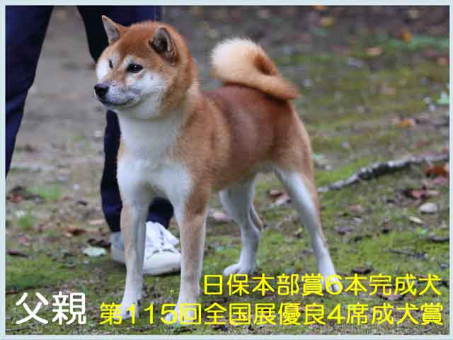 天神乃紅竜号 天神乃紅竜号