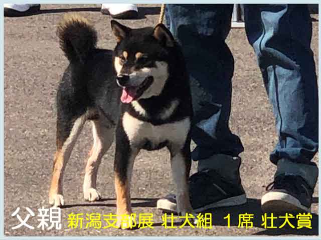 碧晴号 碧晴号