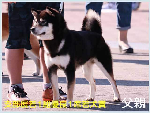 那須ノ神威号 那須ノ神威号