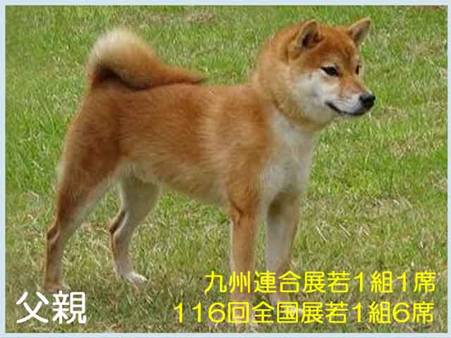 2020.7.1titi 古乃紅虎号