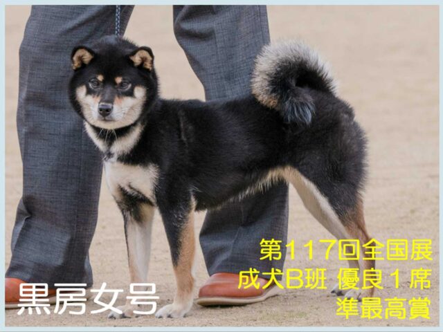 黒房女号 黒房女号