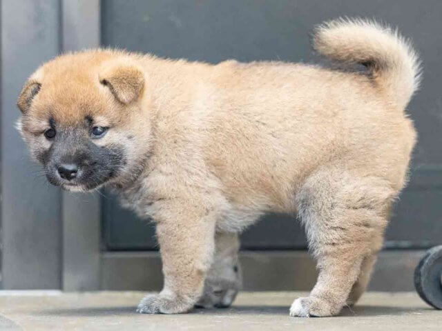 DSC08114-Edit DSC08114-Edit