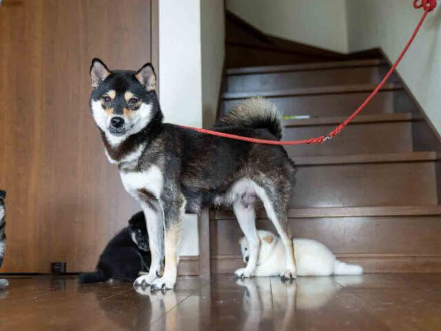 DSC00411-Edit DSC00411-Edit