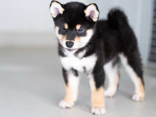 DSC02008-Edit DSC02008-Edit