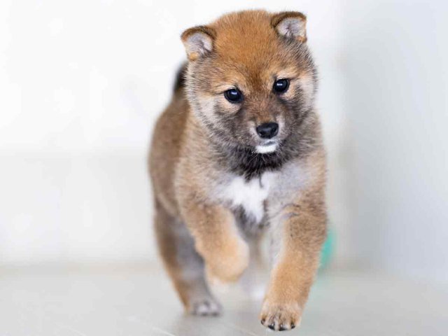 DSC08646-2-Edit DSC08646-2-Edit