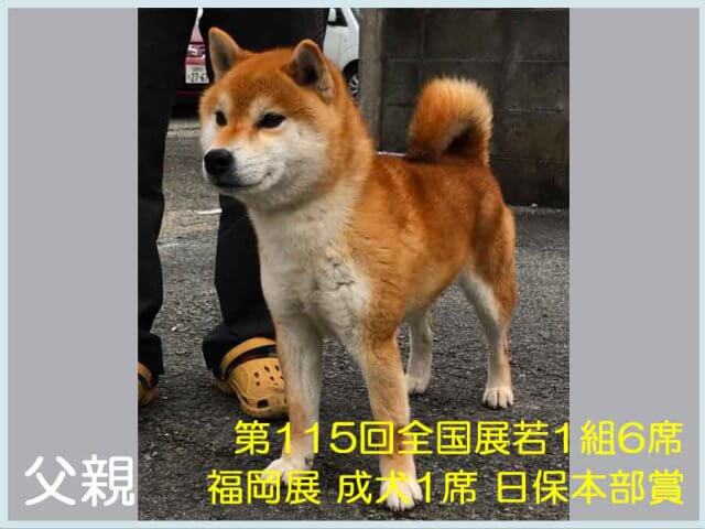 古乃紅虎号 古乃紅虎号