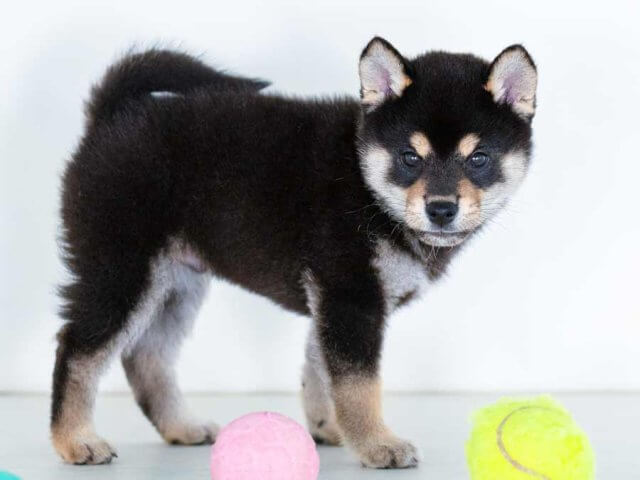DSC03972-Edit DSC03972-Edit