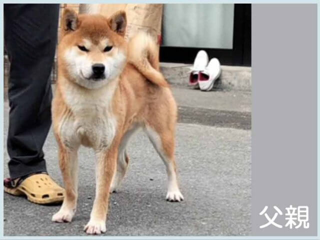 浜真竜号 浜真竜号