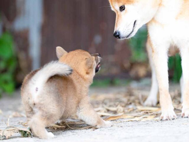 DSC01707-Edit DSC01707-Edit