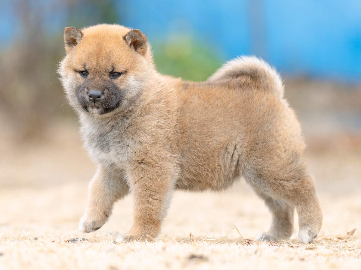 DSC00534-Edit DSC00534-Edit