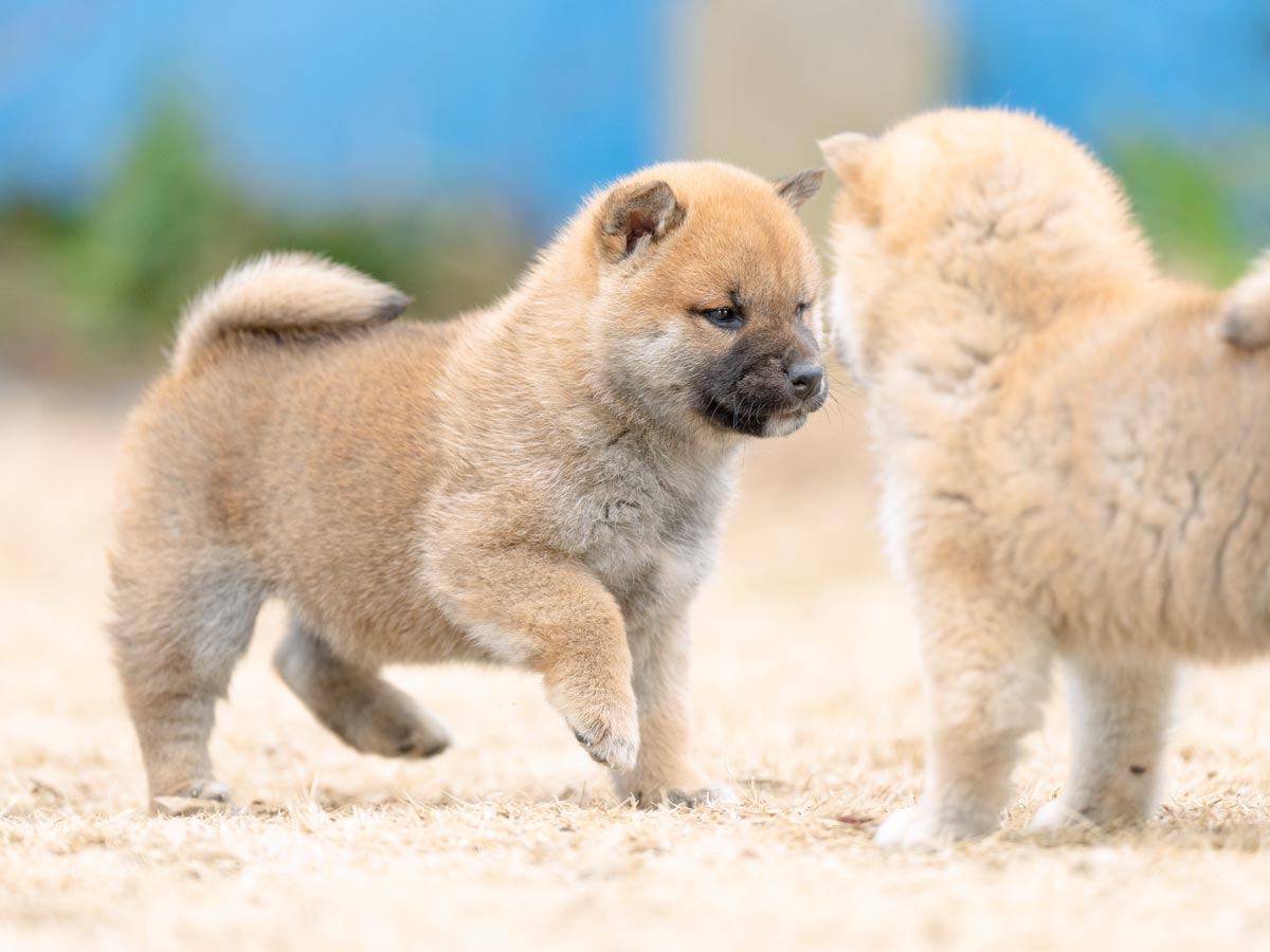 DSC00679-Edit DSC00679-Edit