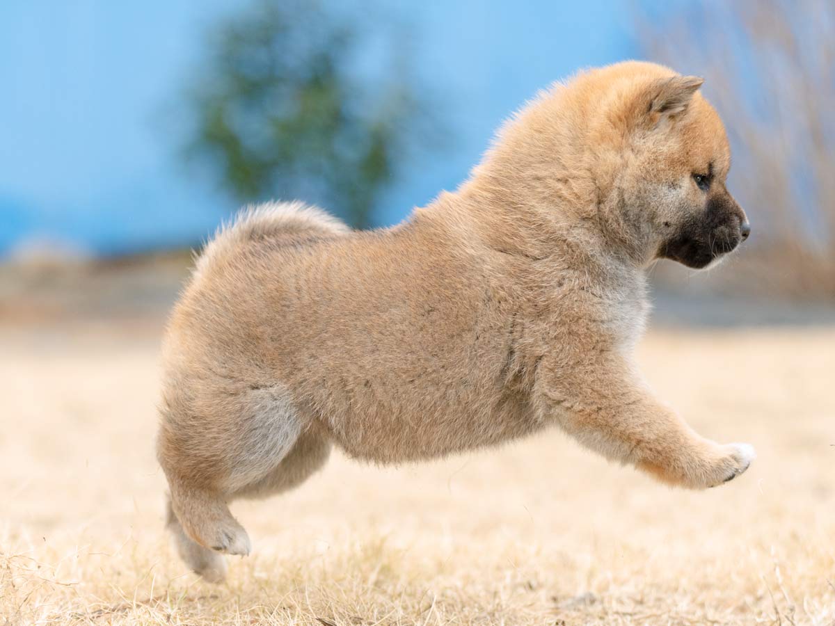 DSC00849-Edit DSC00849-Edit