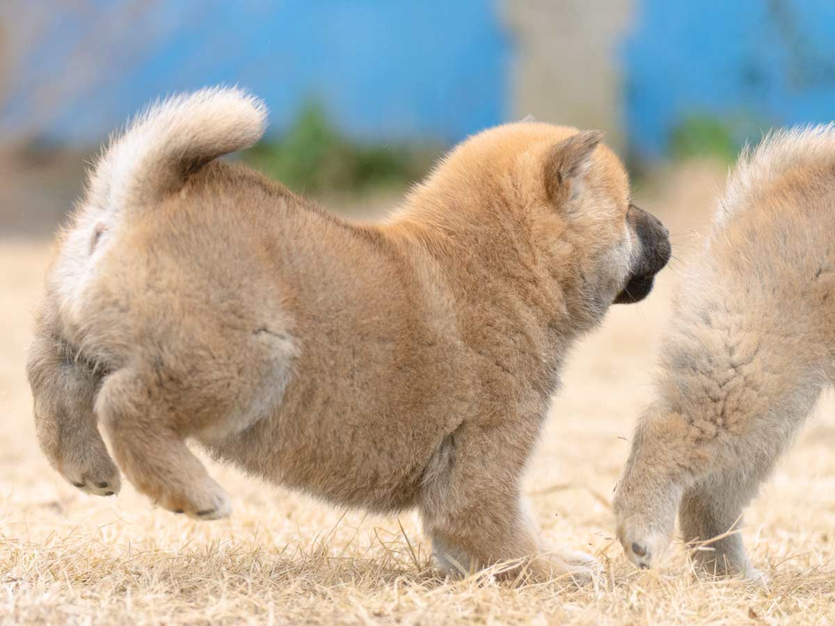 DSC00858-Edit DSC00858-Edit