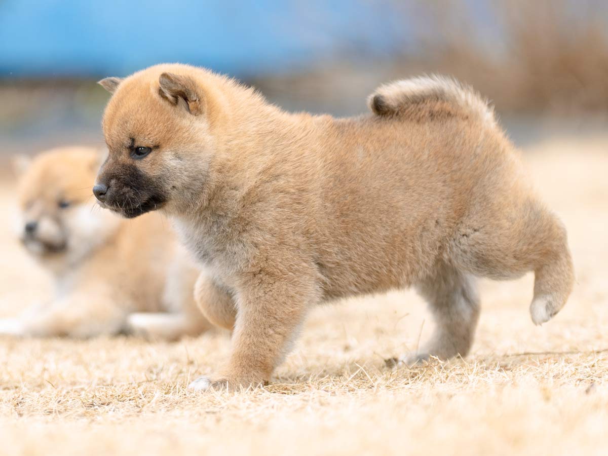 DSC00963-Edit DSC00963-Edit