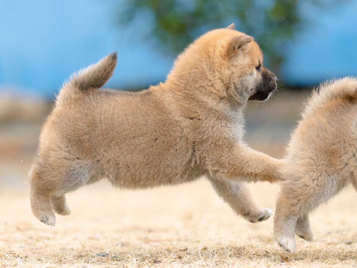 DSC01062-Edit DSC01062-Edit