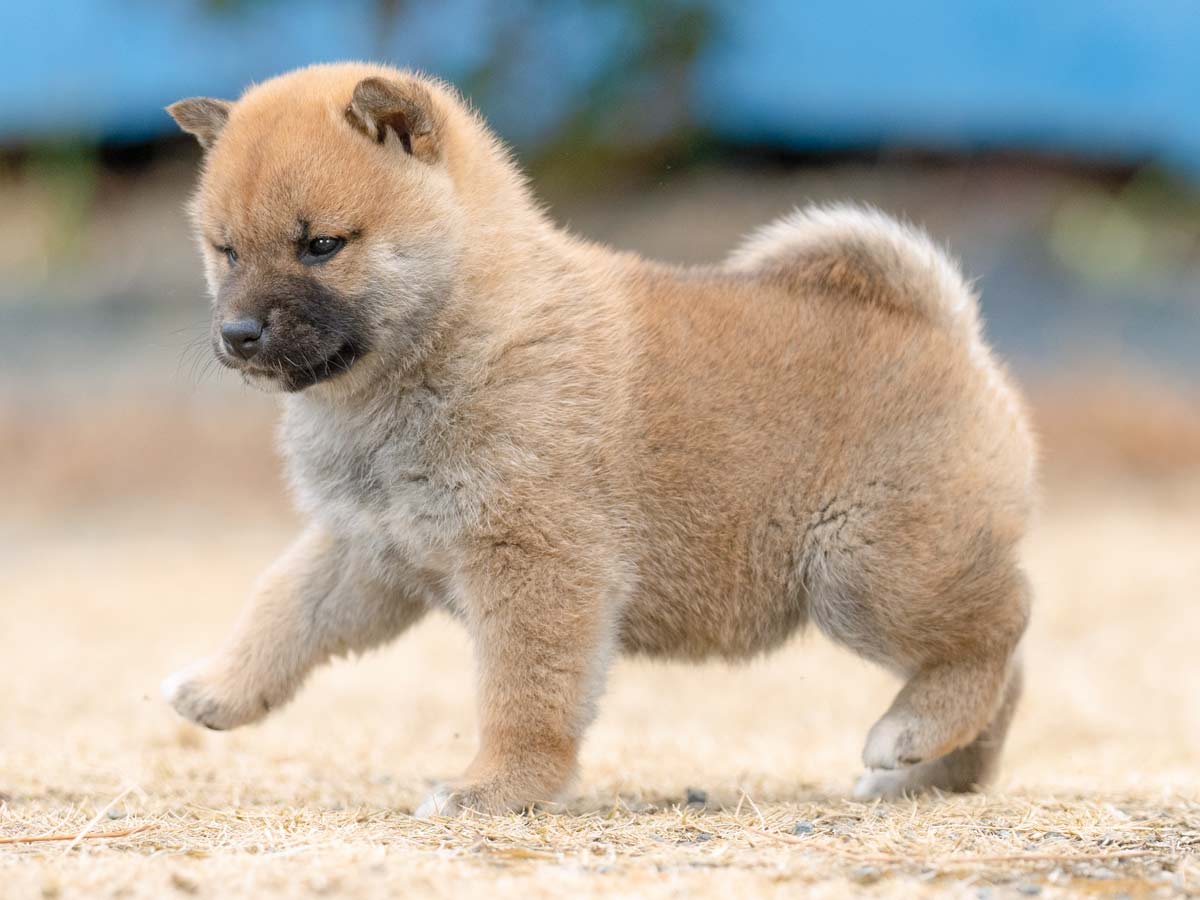 DSC01203-Edit DSC01203-Edit