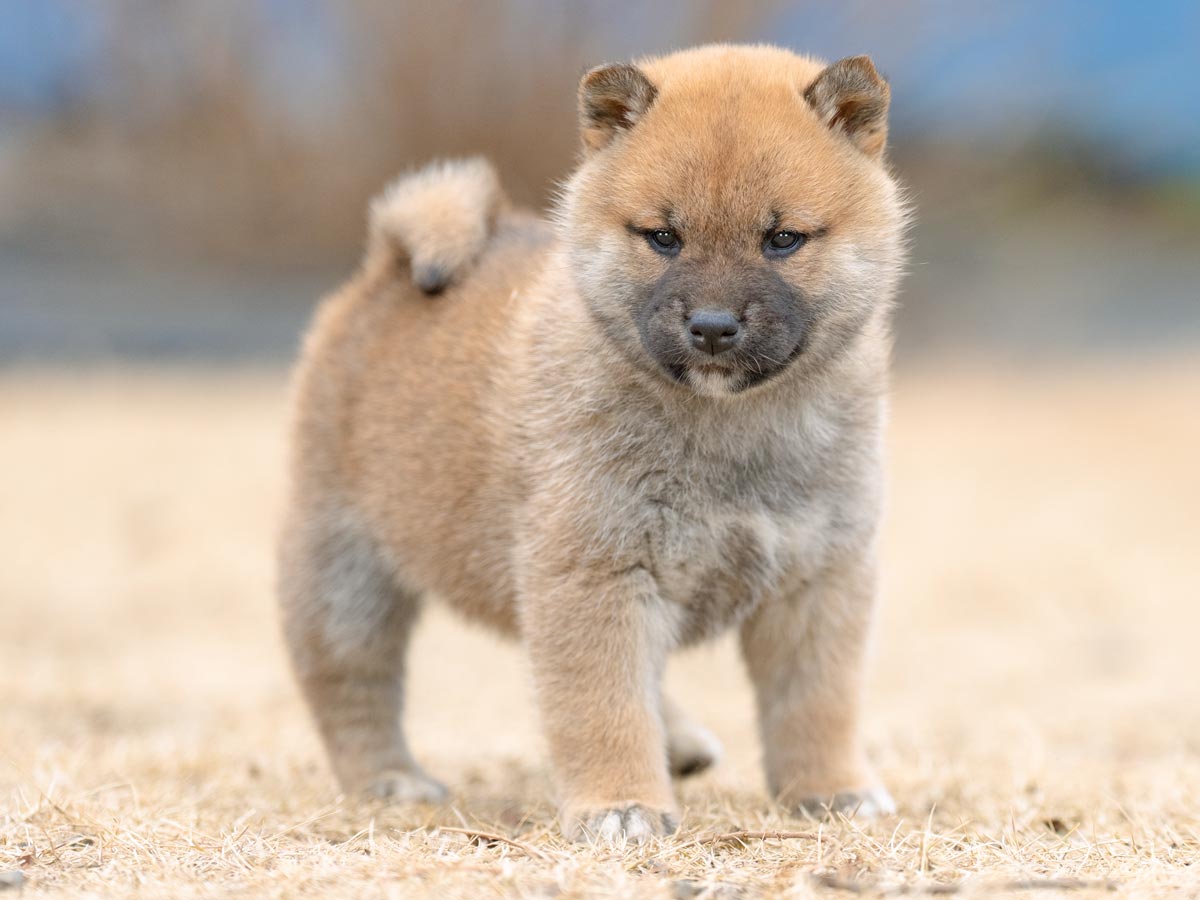 DSC01224-Edit DSC01224-Edit