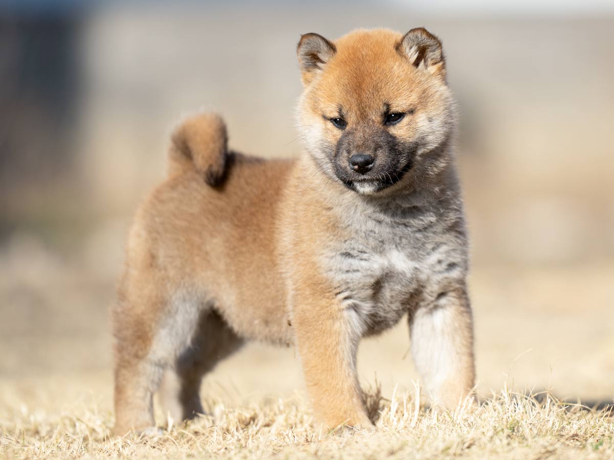 DSC03477-2-Edit DSC03477-2-Edit