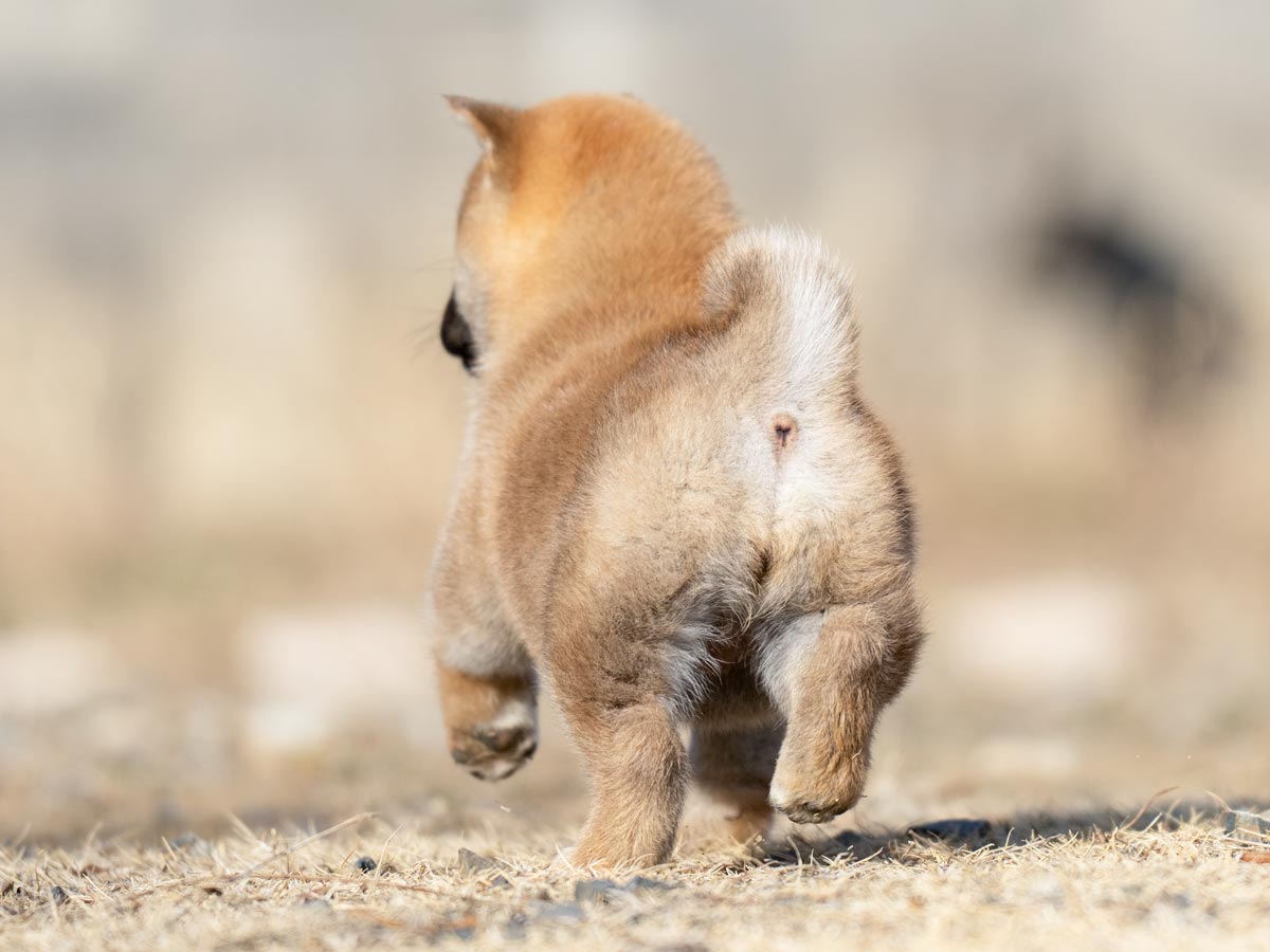 DSC03509-Edit DSC03509-Edit