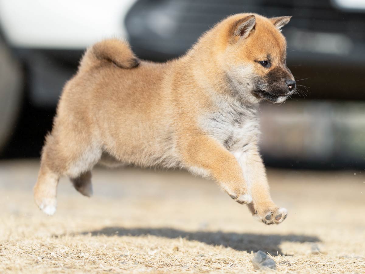 DSC03568-Edit DSC03568-Edit