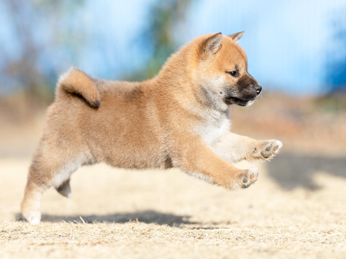 DSC03591-Edit DSC03591-Edit