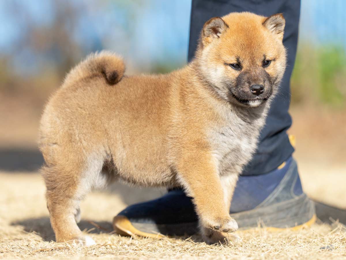 DSC03648-Edit DSC03648-Edit