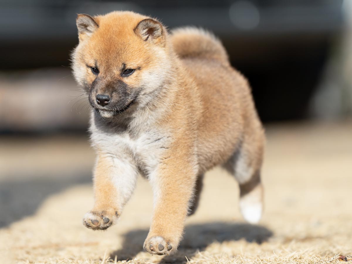 DSC03848-Edit DSC03848-Edit