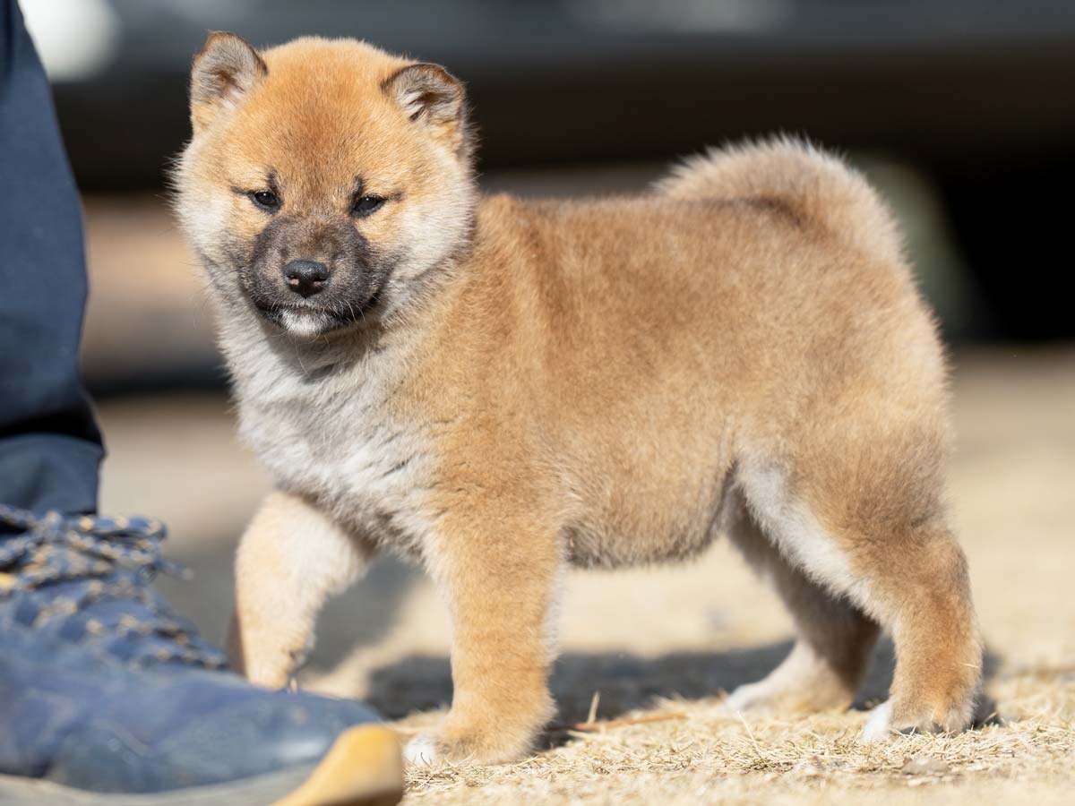 DSC03897-Edit DSC03897-Edit