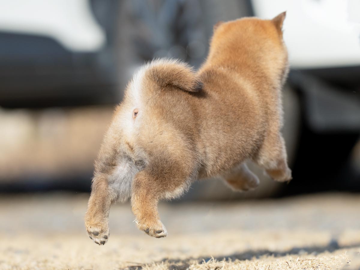 DSC03928-Edit DSC03928-Edit