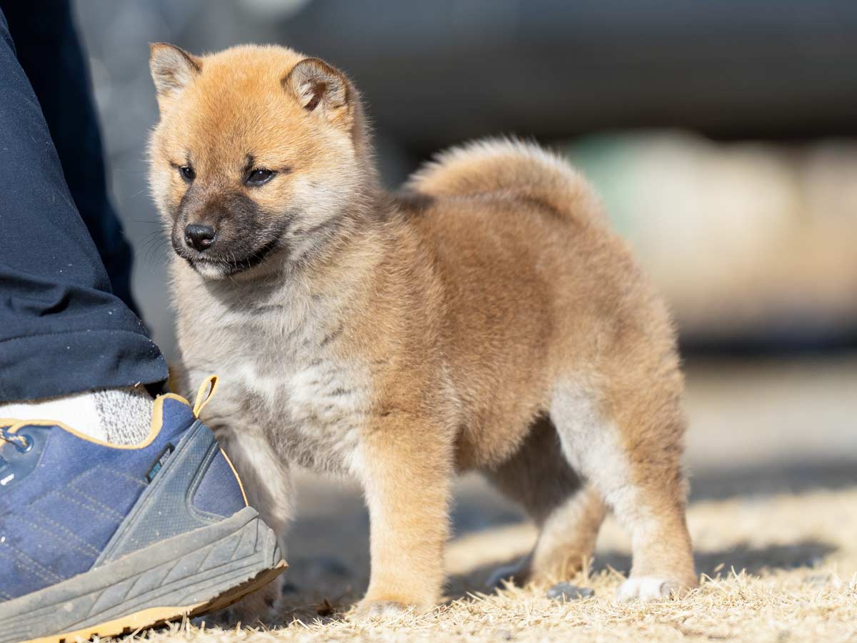 DSC03954-Edit DSC03954-Edit