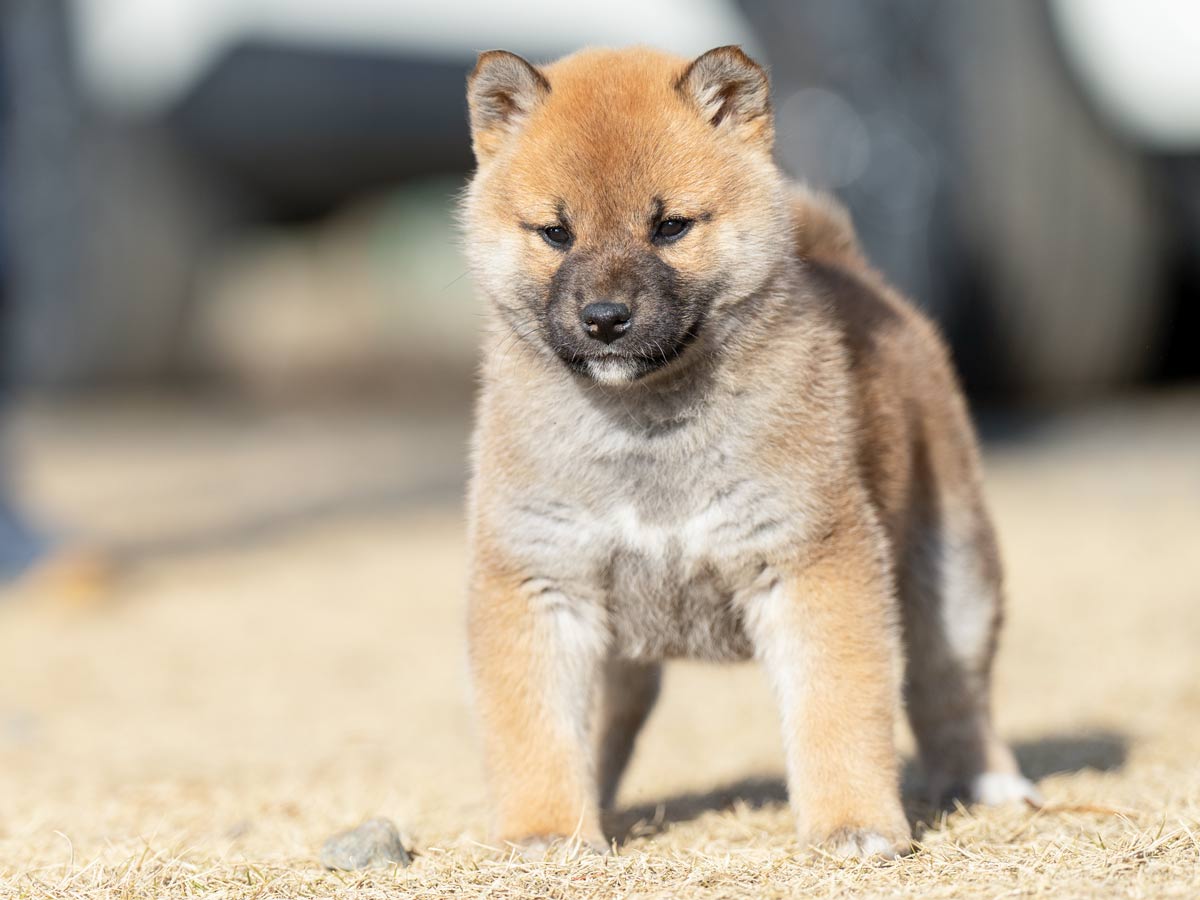 DSC04052-Edit DSC04052-Edit