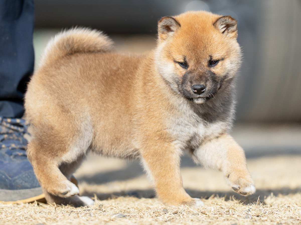 DSC04096-Edit DSC04096-Edit