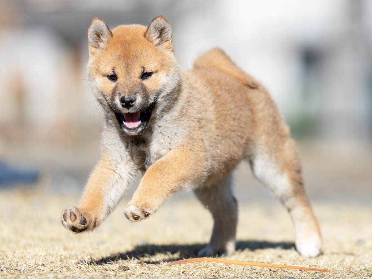 DSC07847-Edit DSC07847-Edit