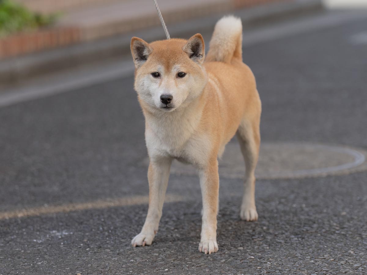 DSC03172-Edit DSC03172-Edit