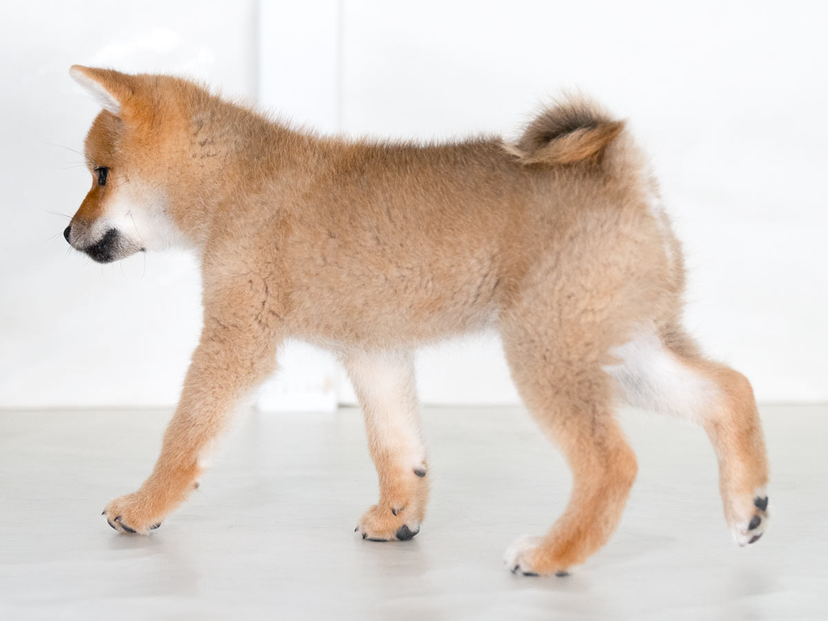 DSC05558 DSC05558