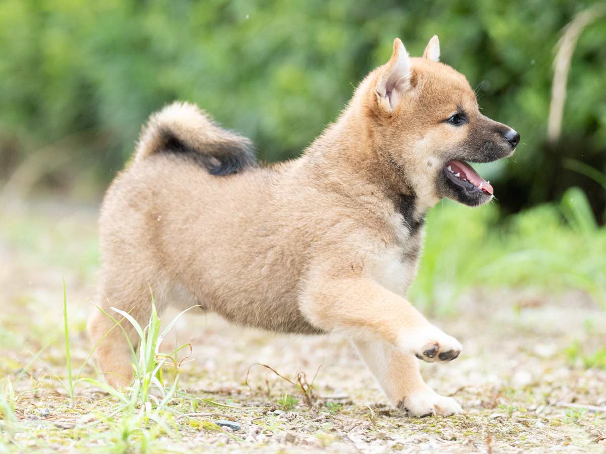 DSC04704-Edit DSC04704-Edit