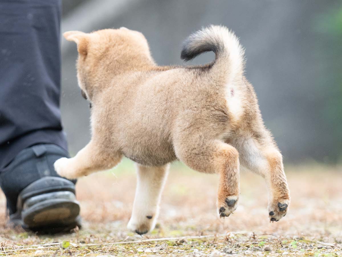 DSC04735-Edit DSC04735-Edit