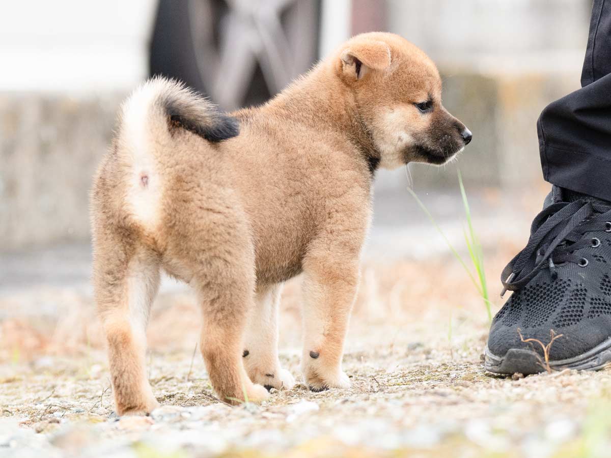 DSC04893-Edit DSC04893-Edit