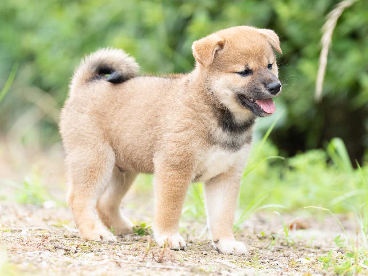 DSC04923-Edit DSC04923-Edit