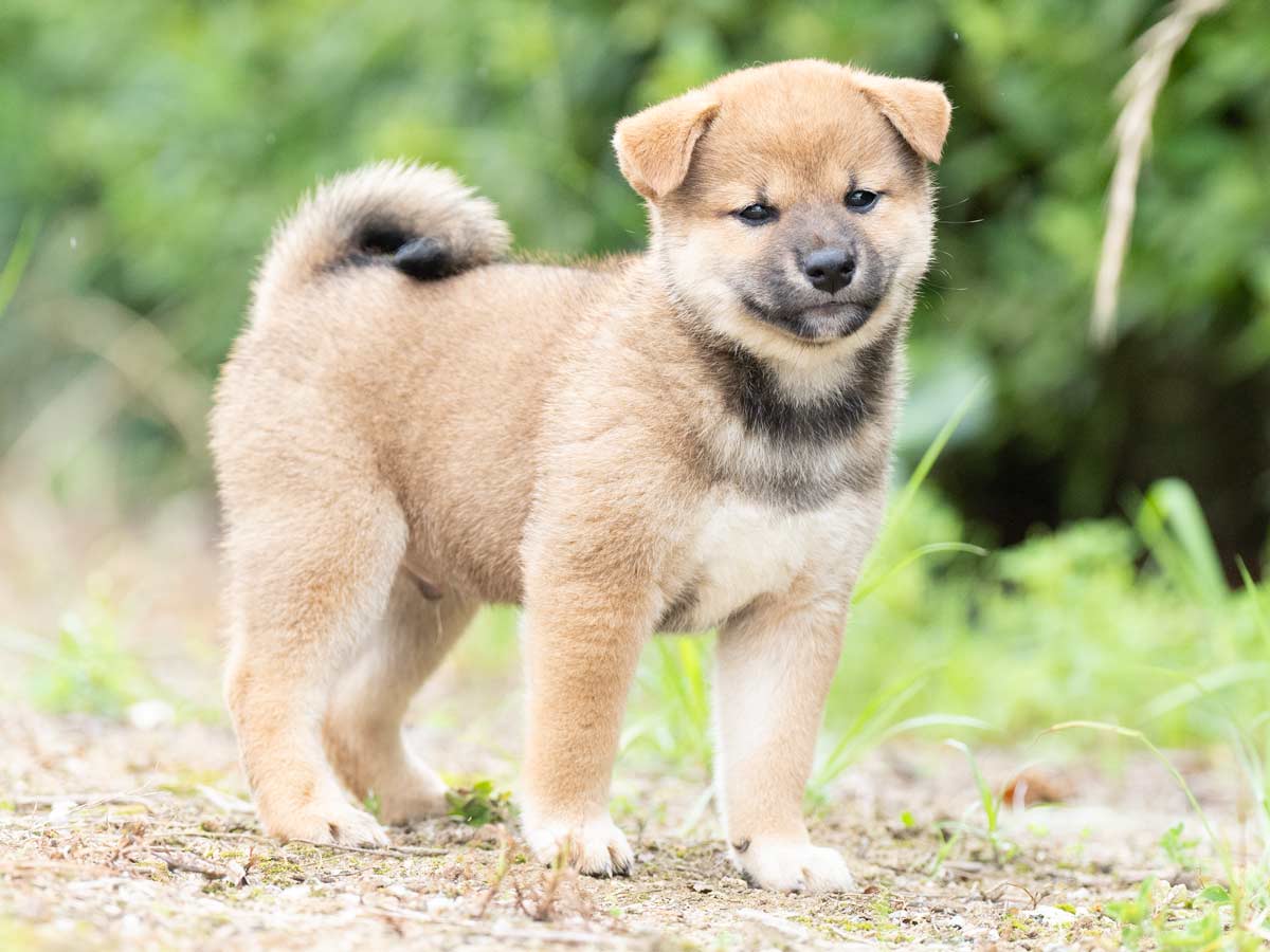 DSC04934-Edit DSC04934-Edit