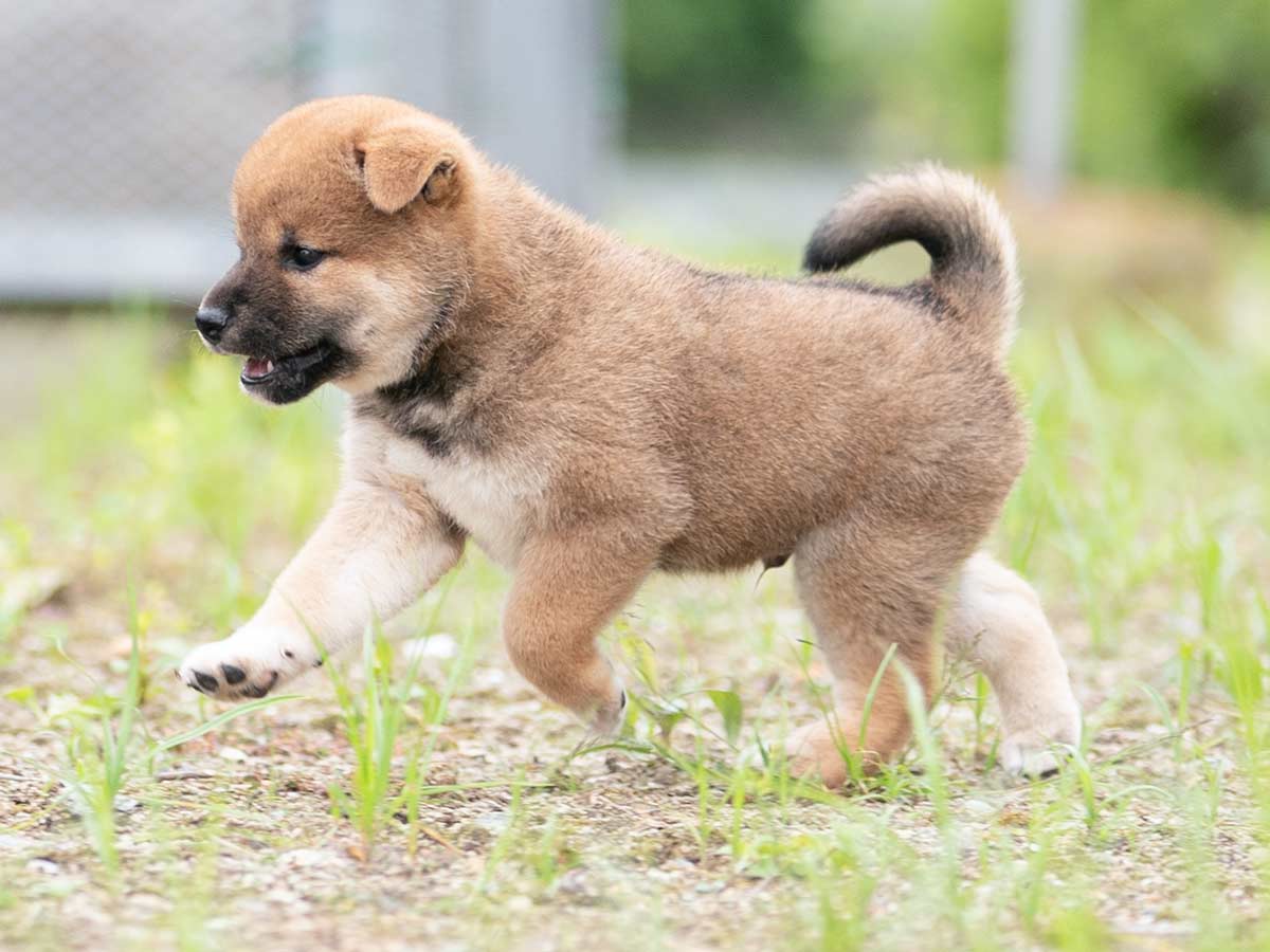 DSC05853-Edit DSC05853-Edit