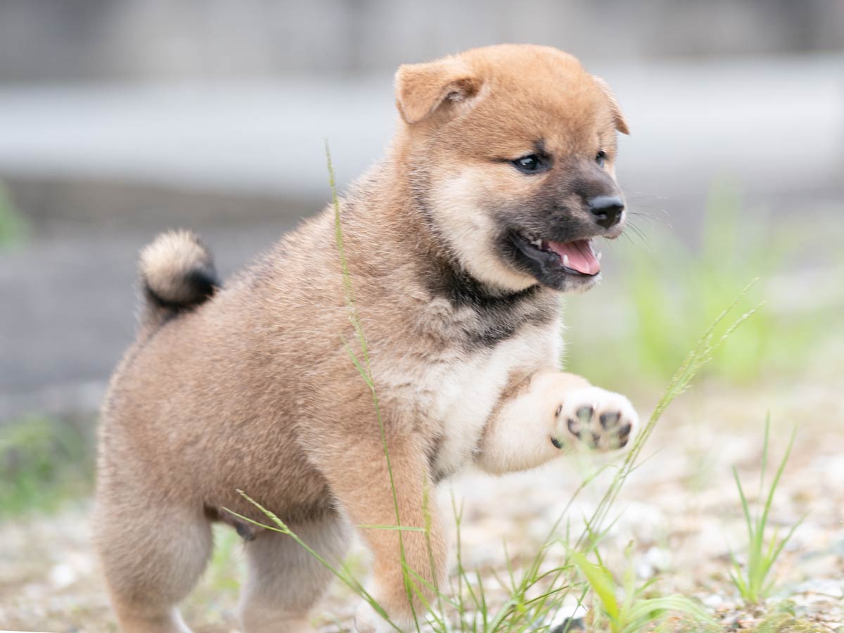 DSC05866-Edit DSC05866-Edit